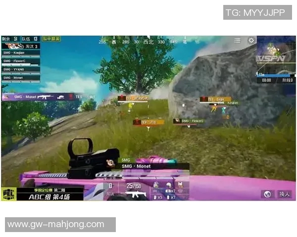 热议和平精英RNG战队心理素质提升背后的变革与挑战分析